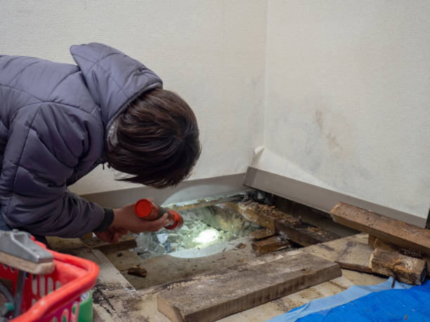 Best Commercial Mold Inspection  in Gates Mills, OH